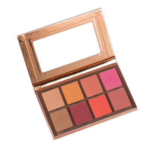 8 COLORS BLUSH PALATTE BL08